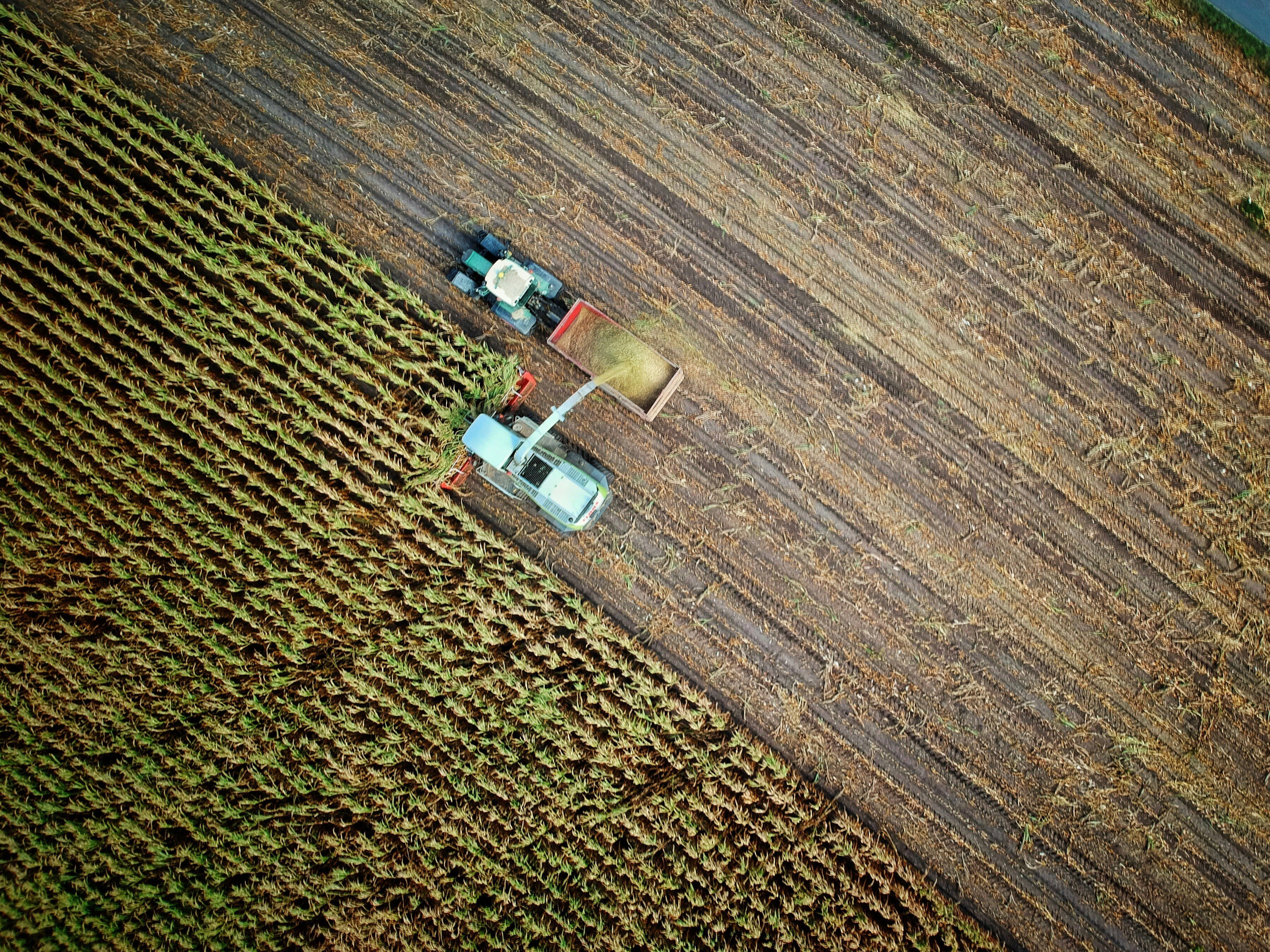 LichaTwist agriculture services
